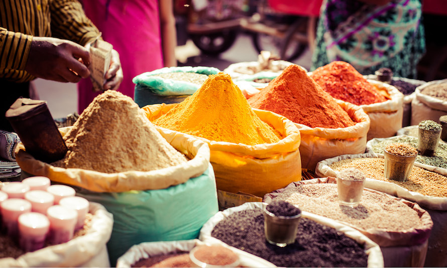 13 Day Indian Foodie Tour | TripADeal