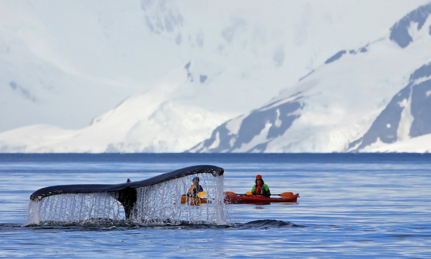 Sea kayaking (optional)