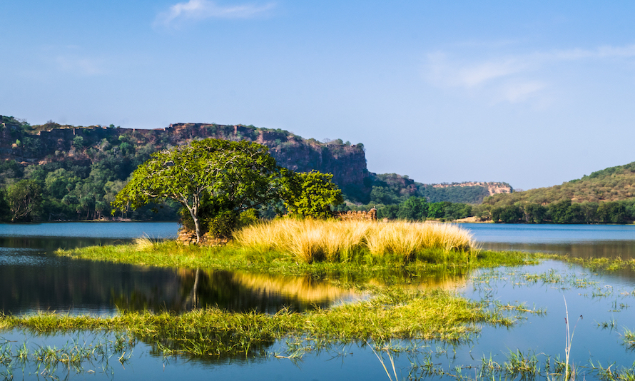 Ranthambore