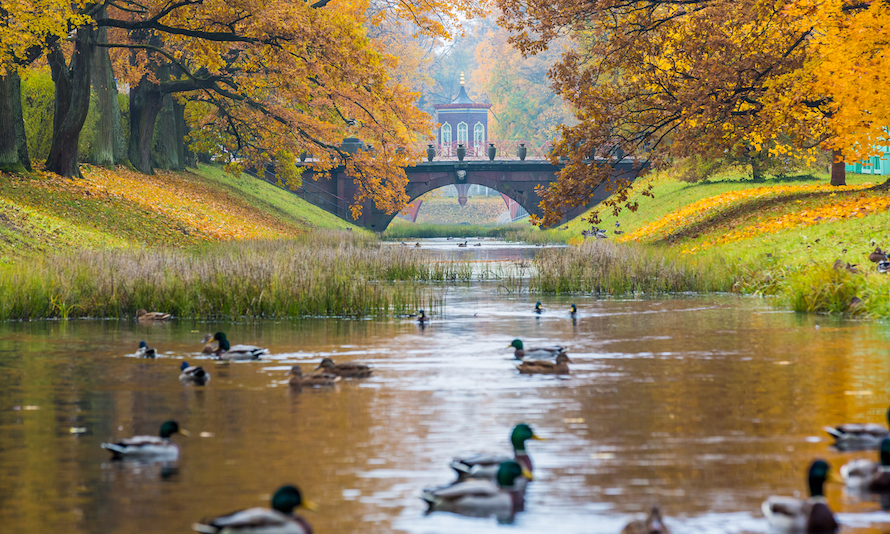St Petersburg