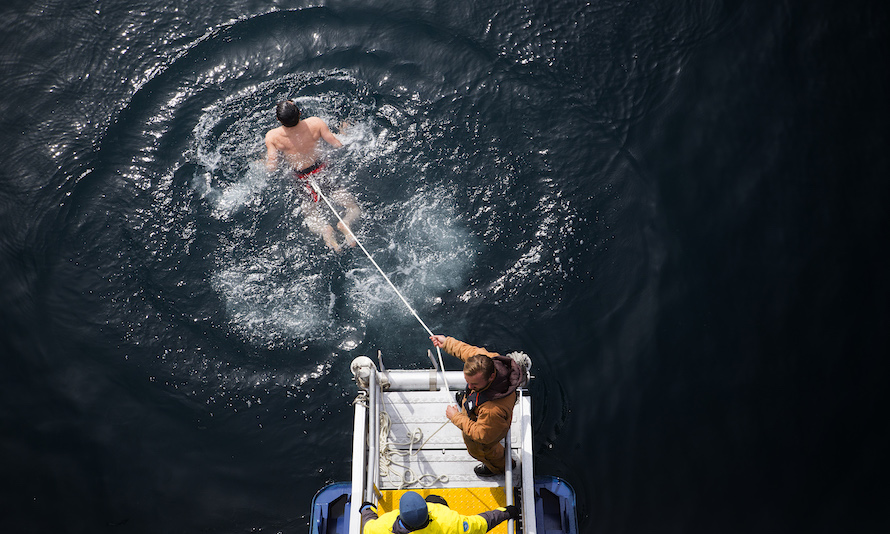 Polar plunge
