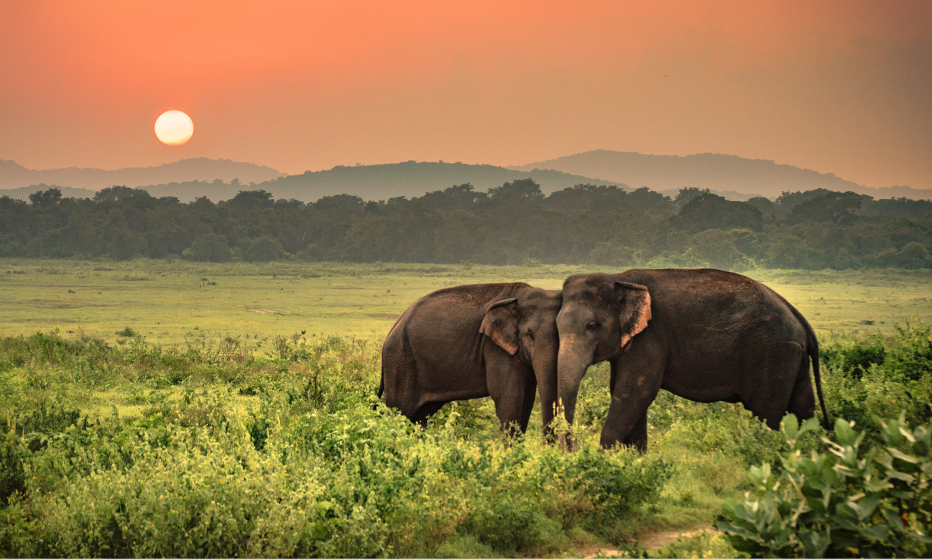 Grand Sri Lanka