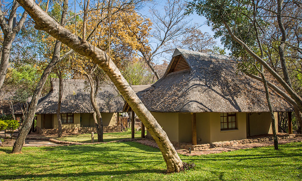 Sebatana Lion Lodge