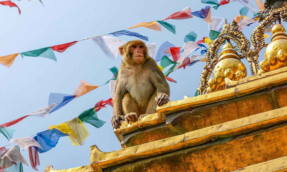 Spirit of Nepal