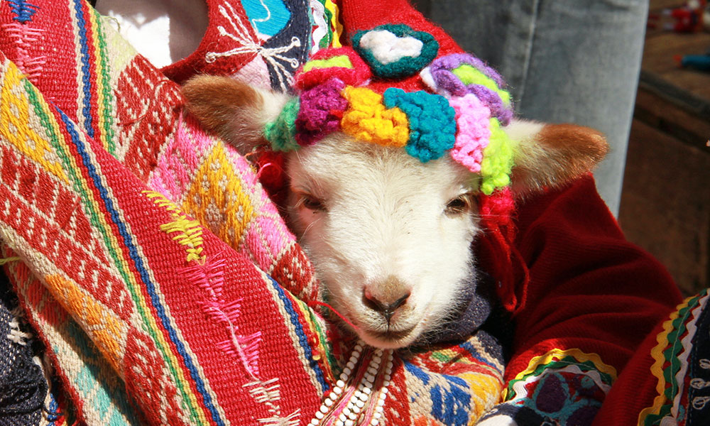 Cusco
