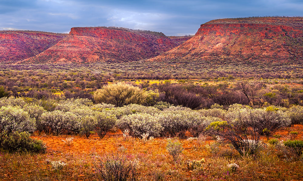 Watarrka National Park