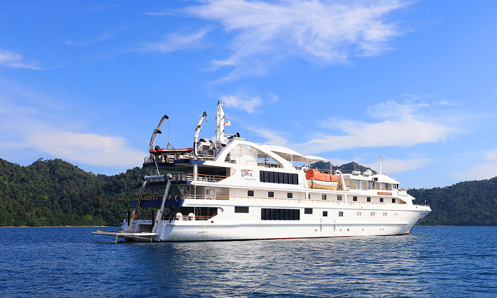 Coral Discoverer