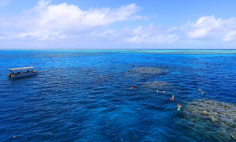 Snorkelling