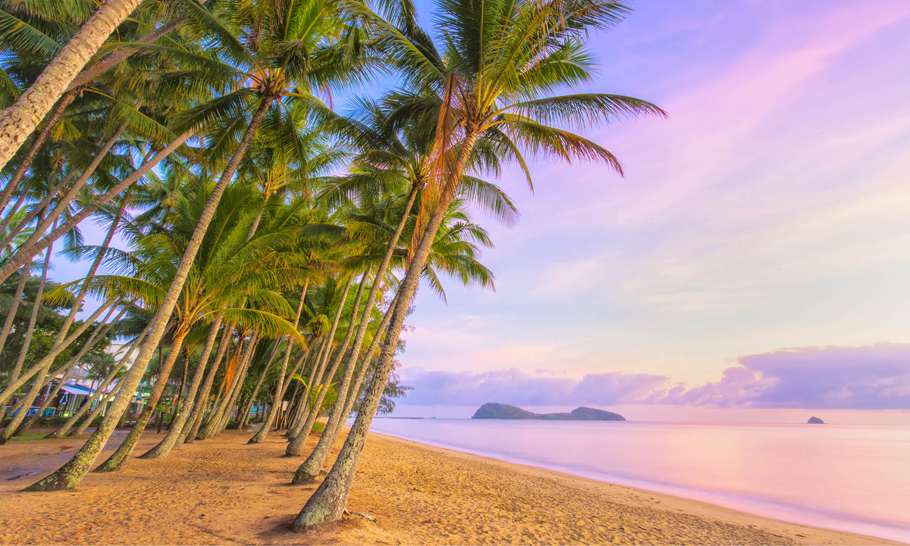 Palm Cove