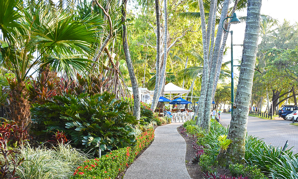 Palm Cove