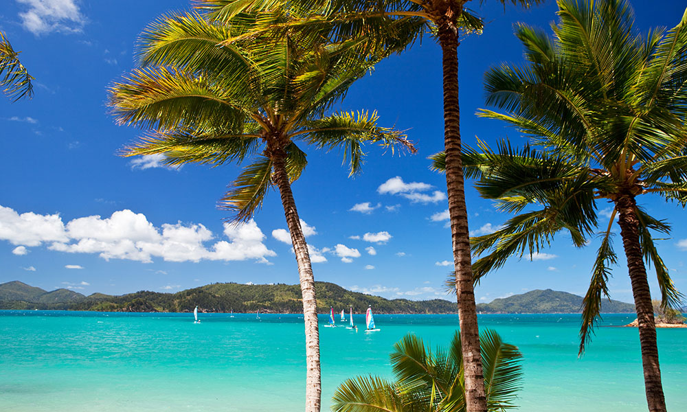 Island vibes in the Whitsundays