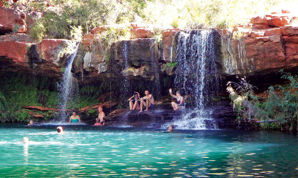 Fern Pool