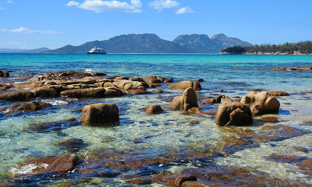 Freycinet