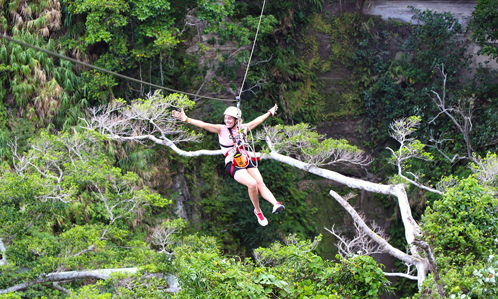 Zipline above the canopy
