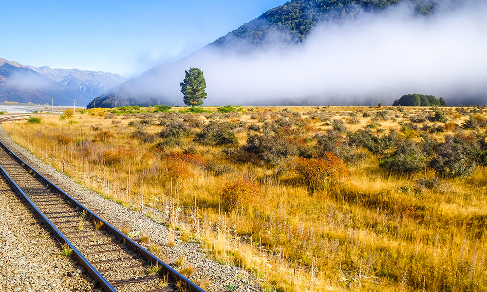 The view from the TranzAlpine Train