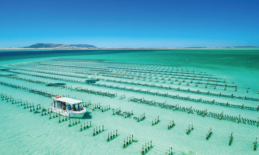 An oyster lease in Coffin Bay