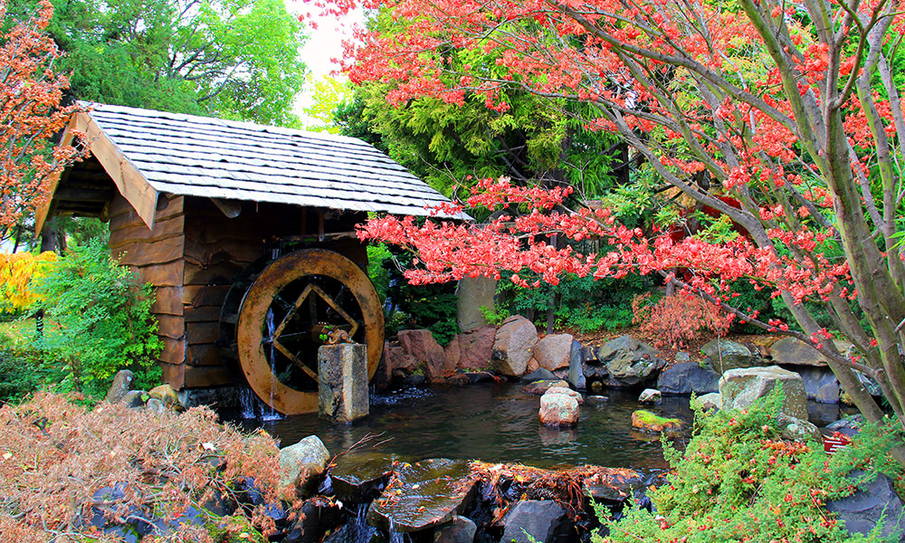 Hobart Botanical Gardens