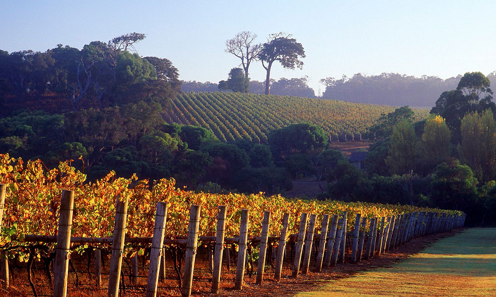 Margaret River wine region