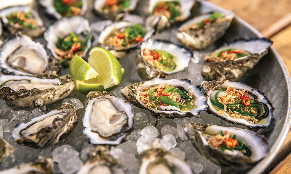 Taste oysters shucked fresh from the sea