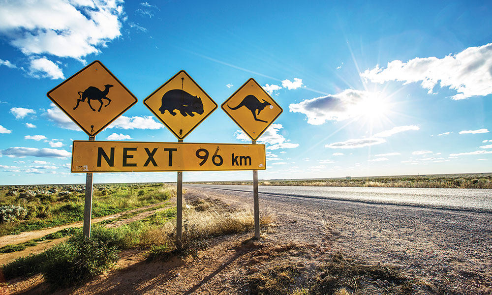 Nullarbor Plain