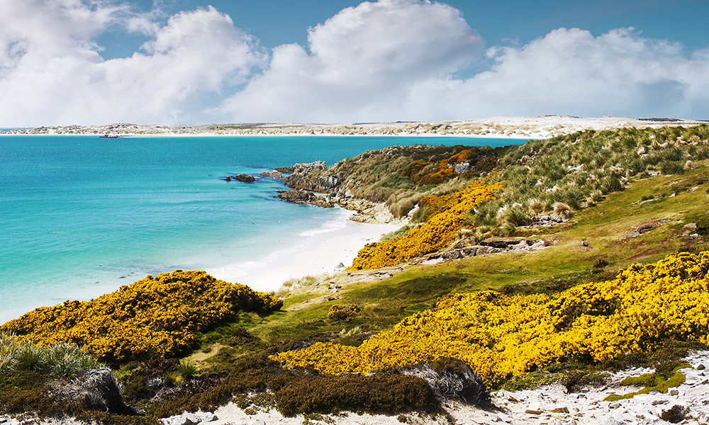 Falkland Islands