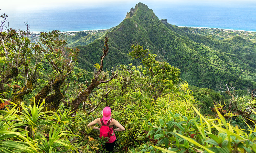 The lush interior of Rarotonga