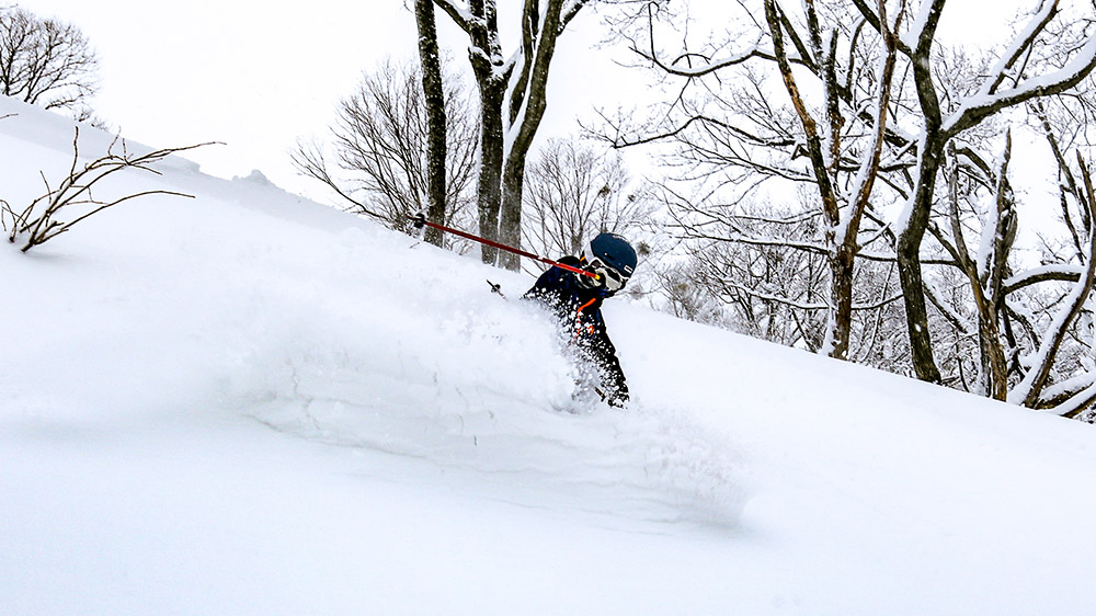 Hit the powder snow of Hakuba
