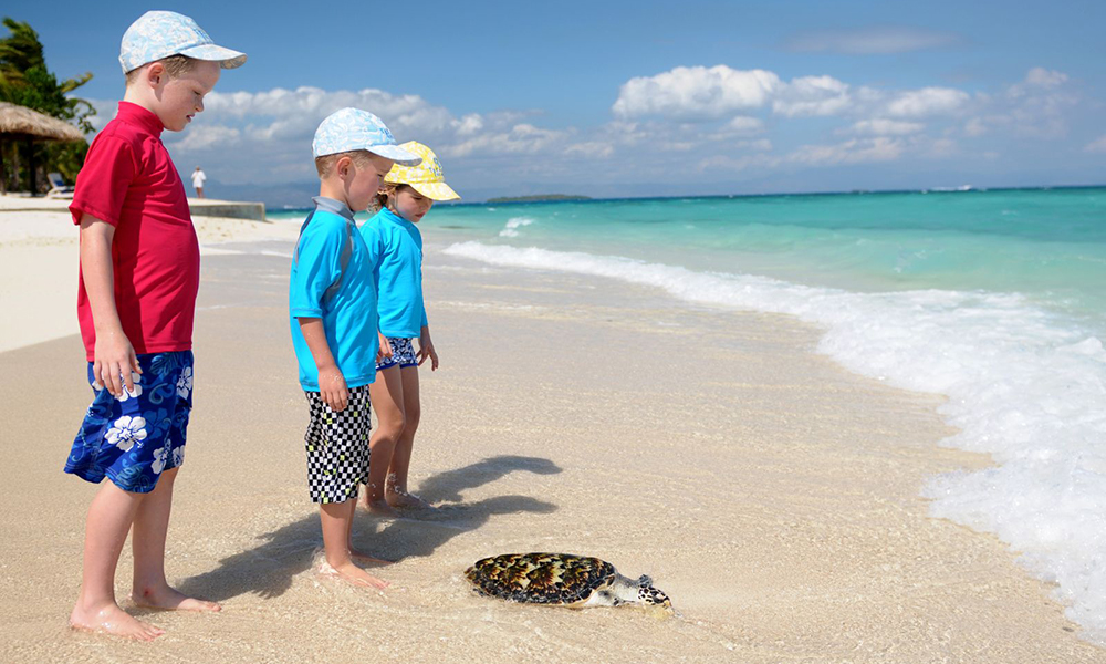 Turtle Release