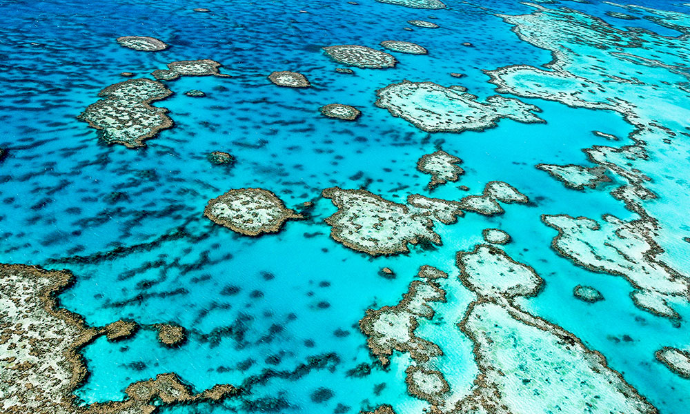 An aerial view of the Great Barrier Reef