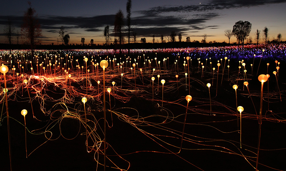 Field of Light