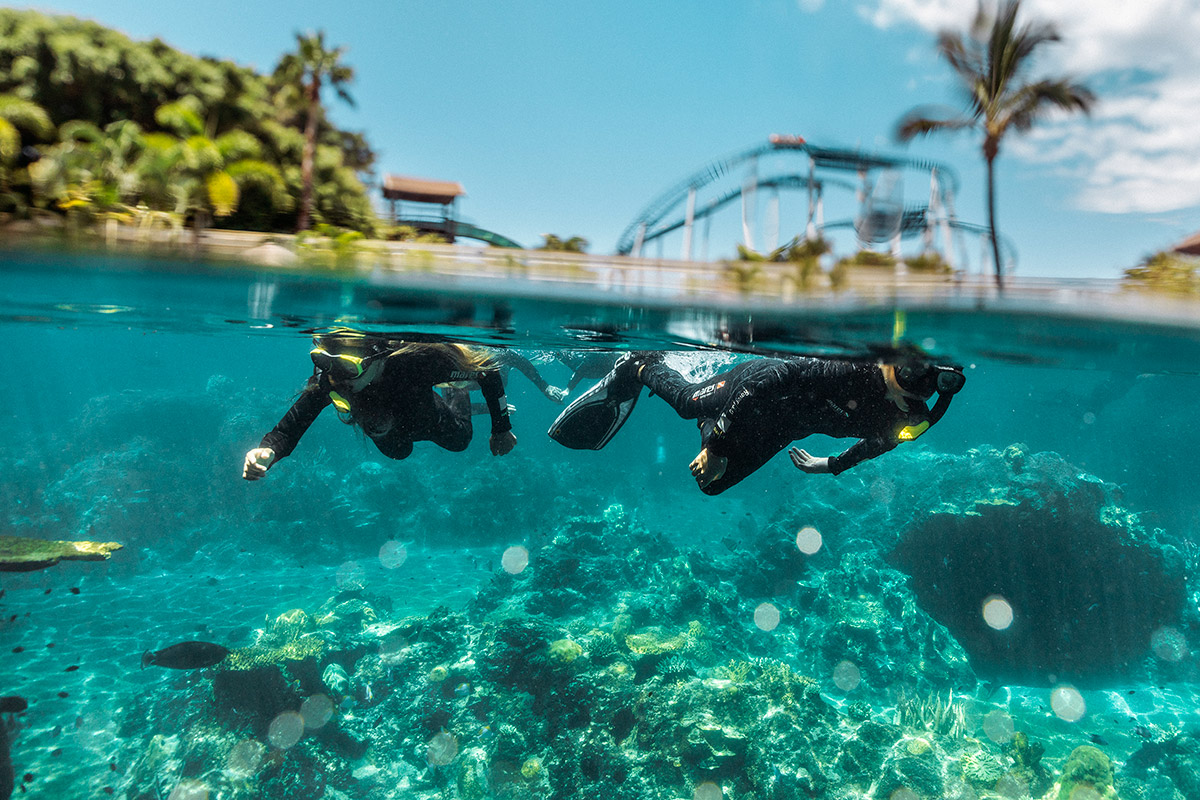 Tropical Reef at Sea World